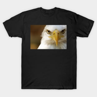 Bald Eagle T-Shirt